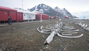 Los 30 años de nuestra base antártica