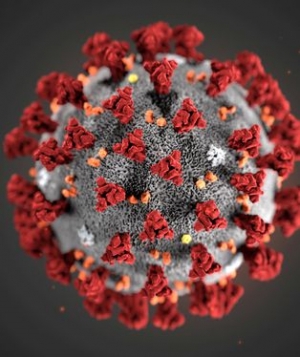 Coronavirus - Mapa Interactivo: Chile, Argentina y todos los países con casos confirmados de COVID-19