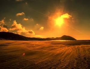 Problemas críticos en salud pública